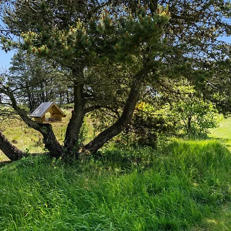 Beautiful In With Sauna Vestervig